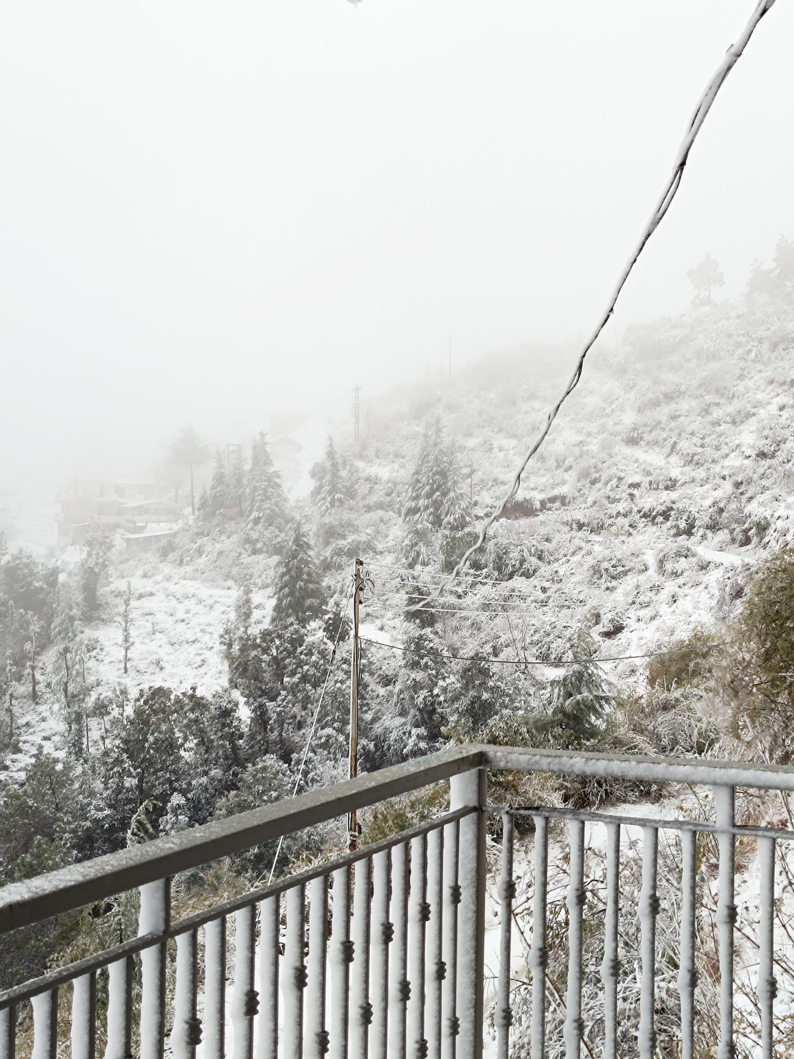 Snowfall on the deodar trees and snow-dusted railing of a Deluxe room balcony, fog rolling across the ridge in winter