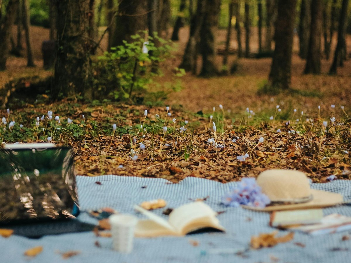 A picnic blanket spread on the forest floor among white wildflowers and fallen leaves