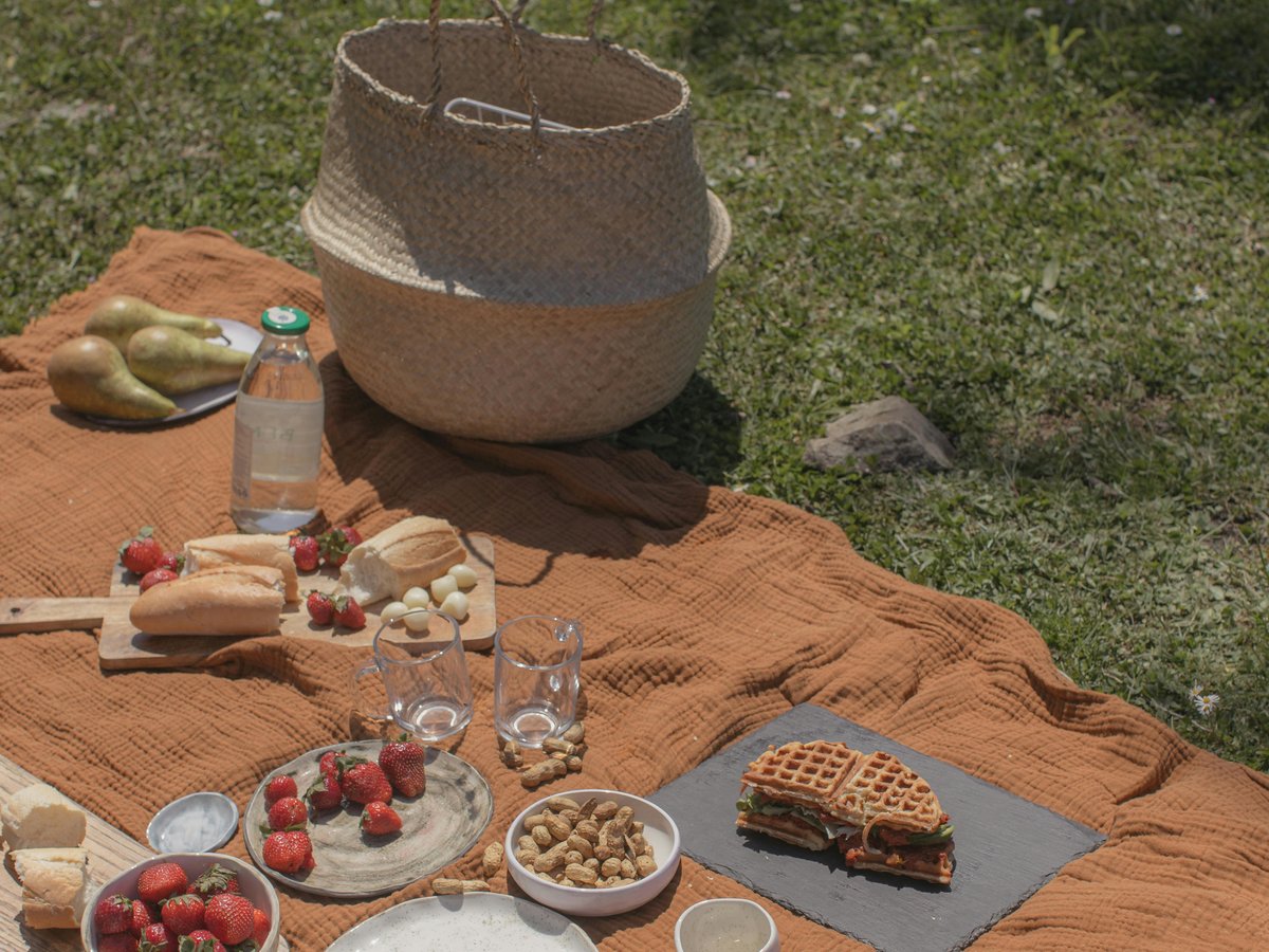 A sunlit picnic spread on an ochre blanket with strawberries, pears, bread, and an open botanical book