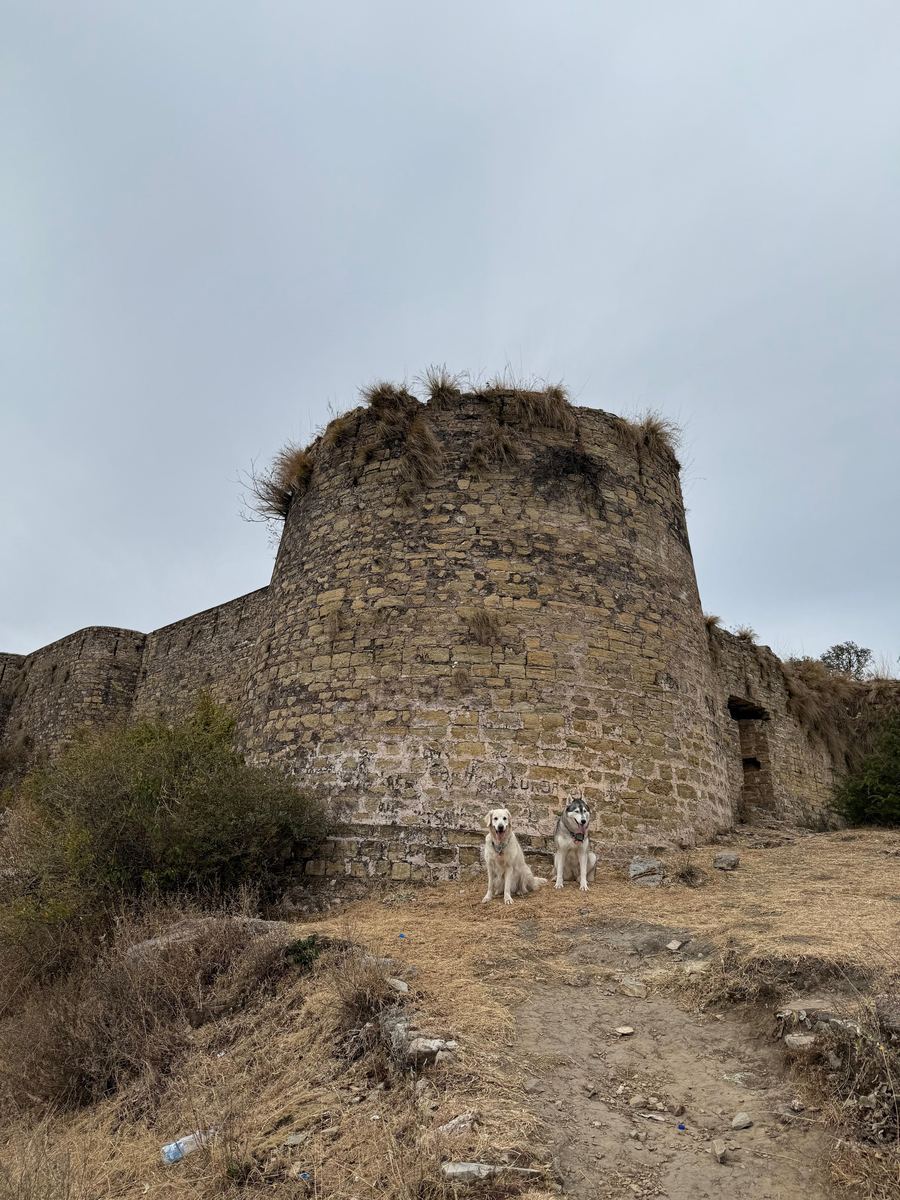 The large bastion of the abandoned fort, guarded by dogs