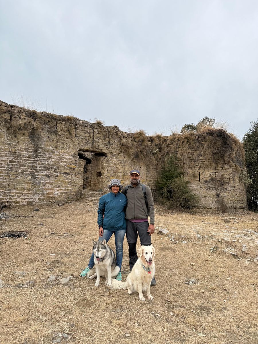 Visitors and dogs at the fort walls