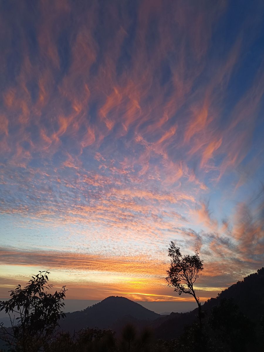 Dramatic cirrus clouds at dusk with tree silhouettes